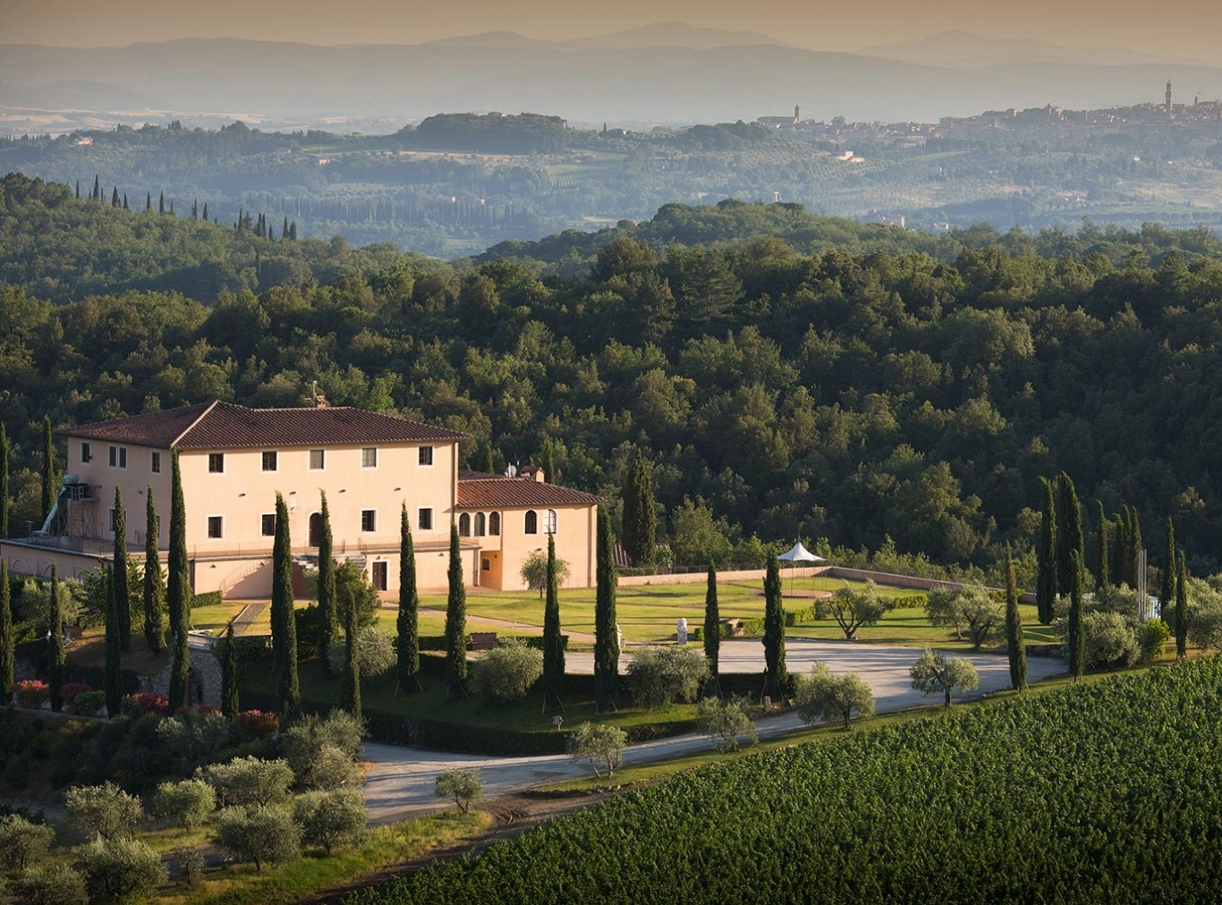Tolaini estate