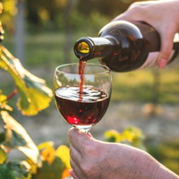 Book a Tasting