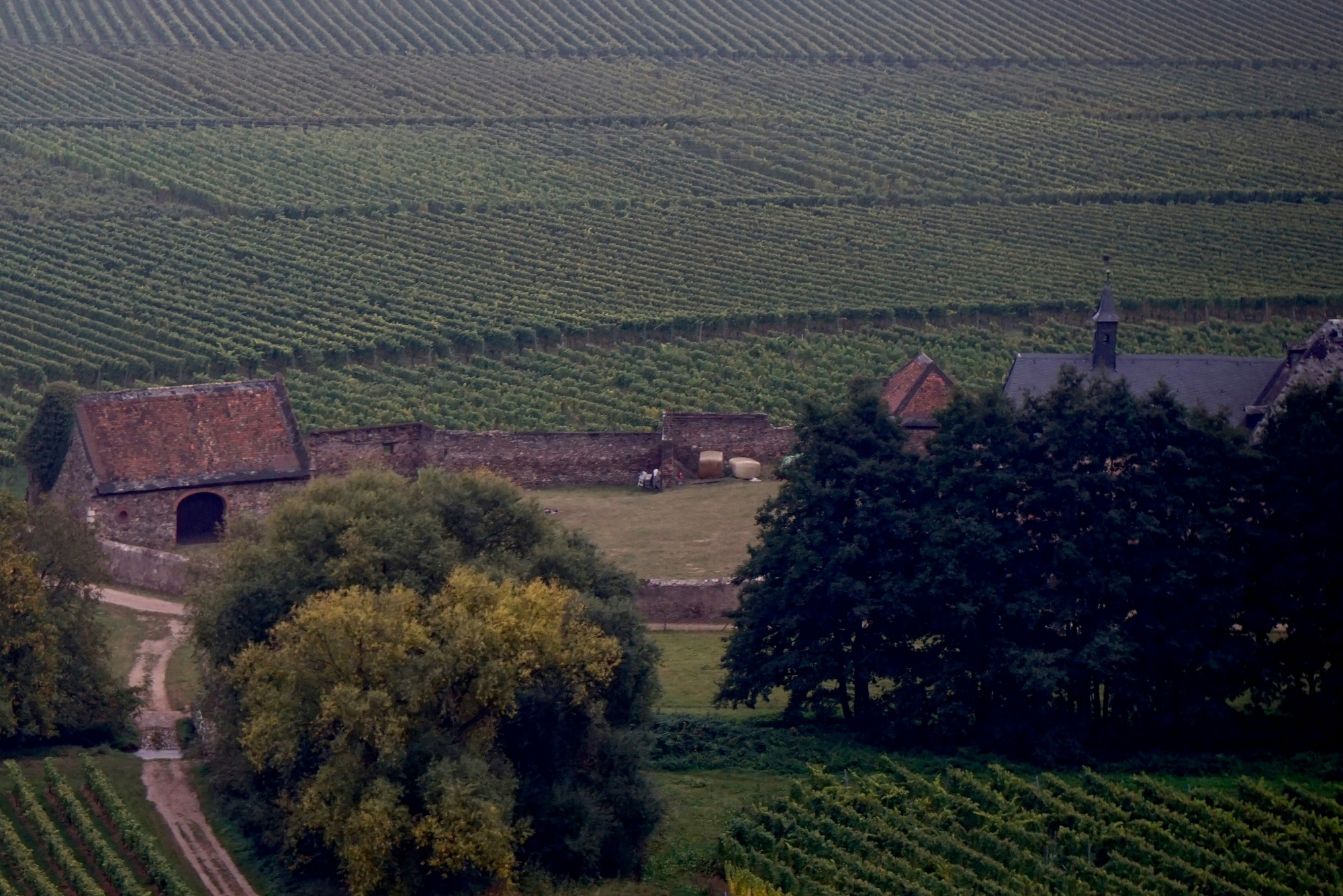 Maculan Cellars