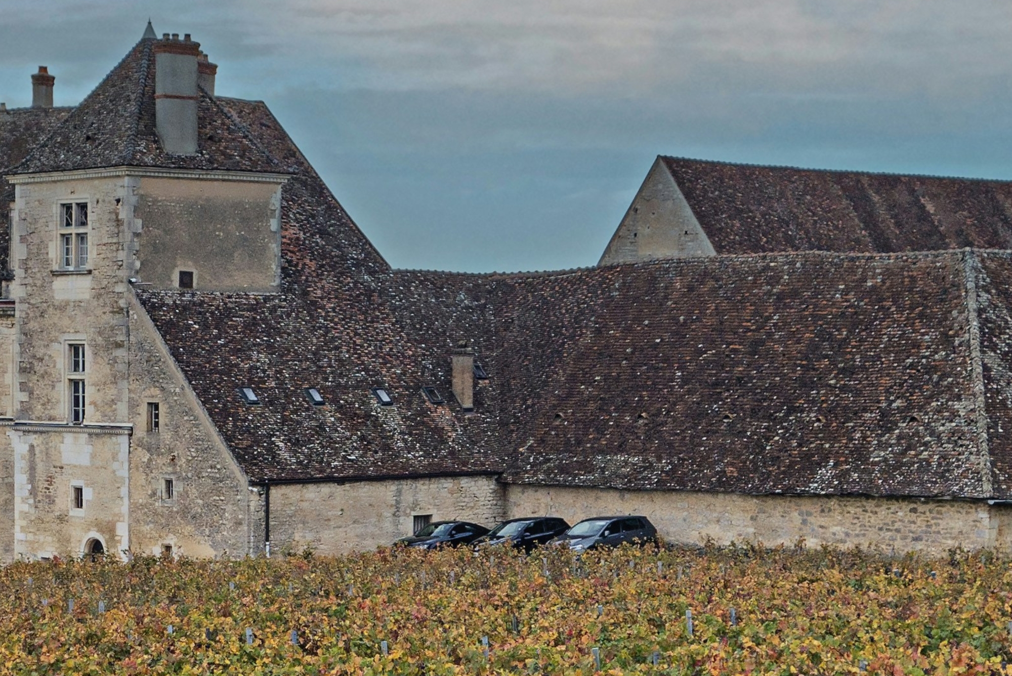Maculan Cellars