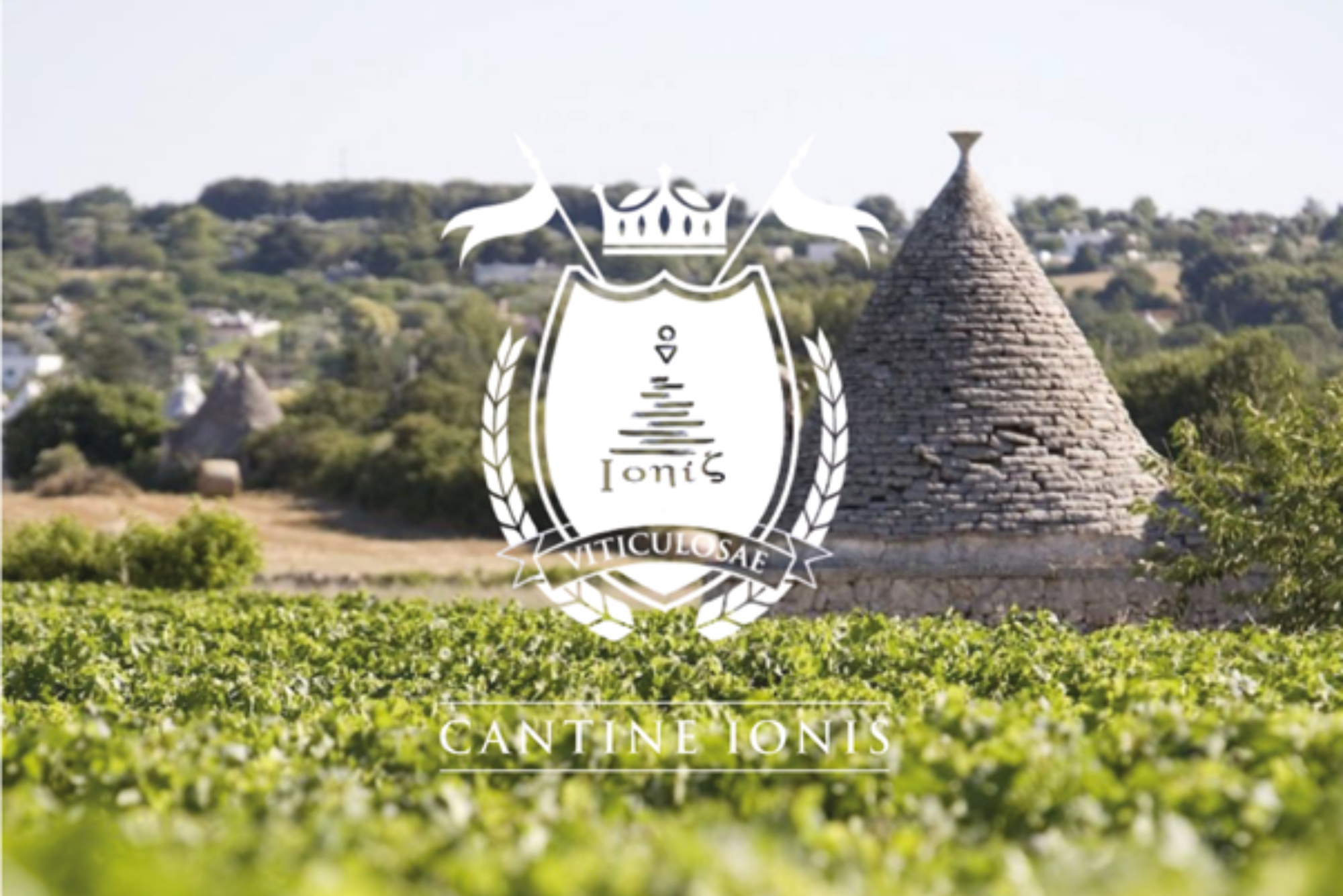Ionis History