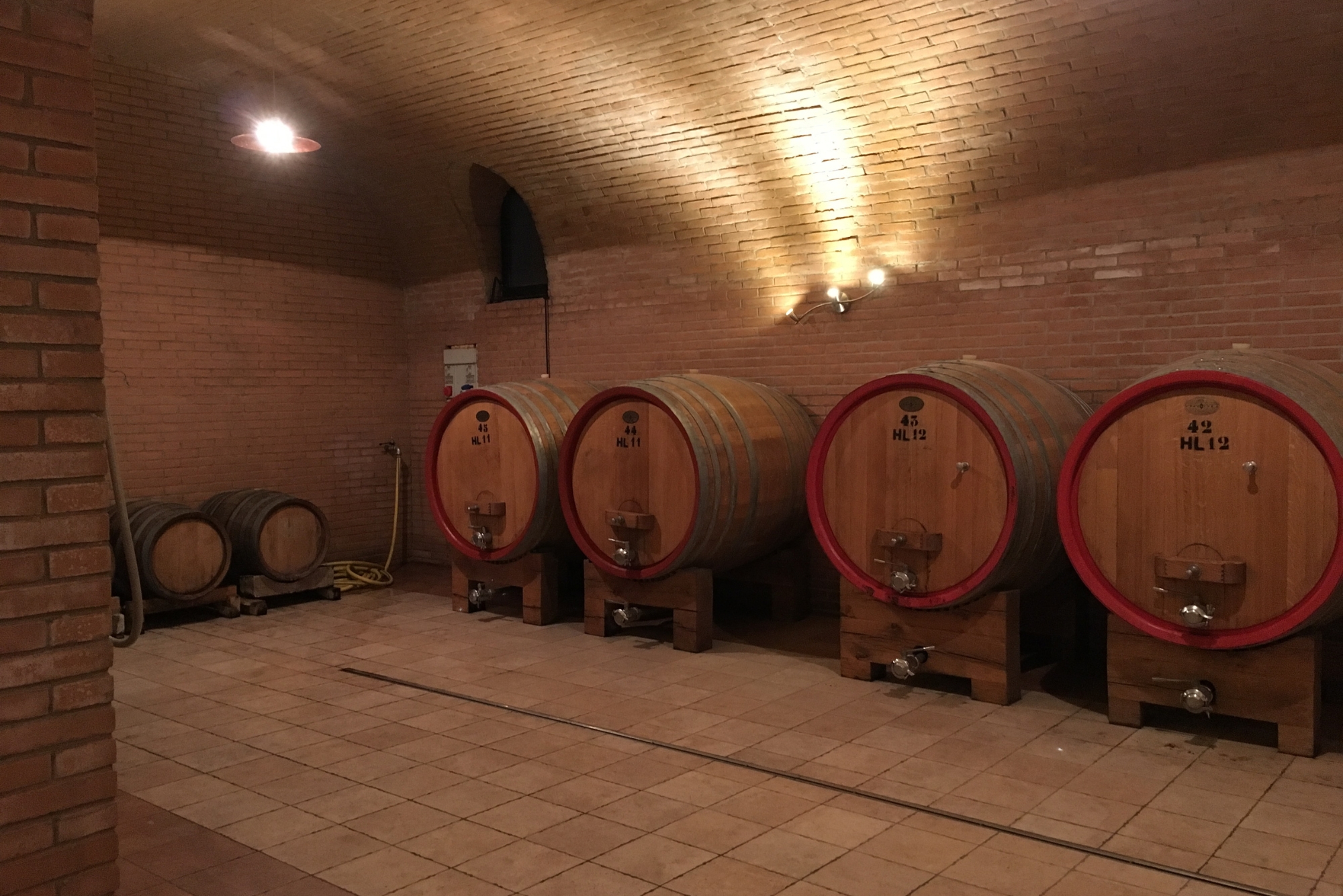 Le Contesse Cellars