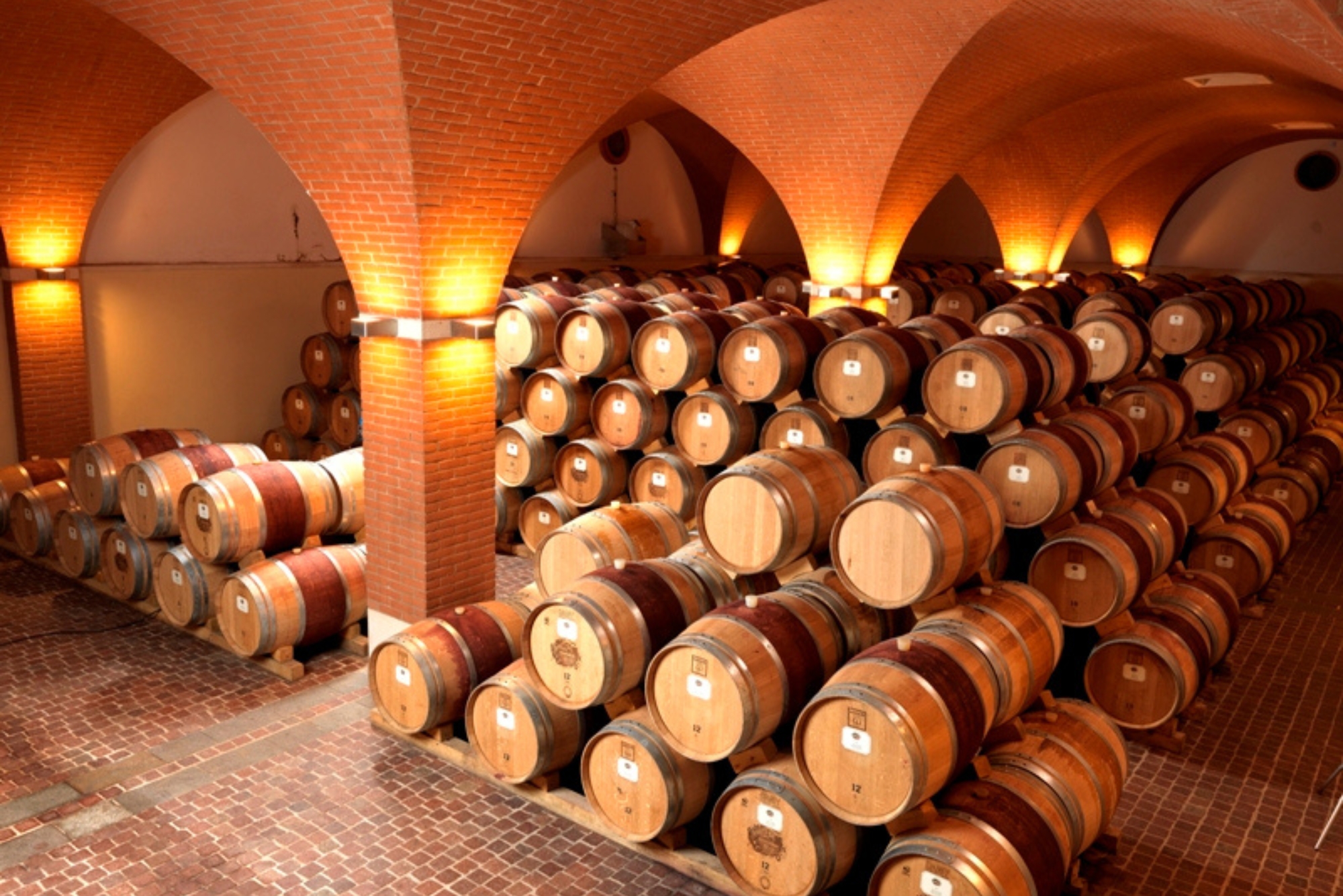 Maculan Cellars