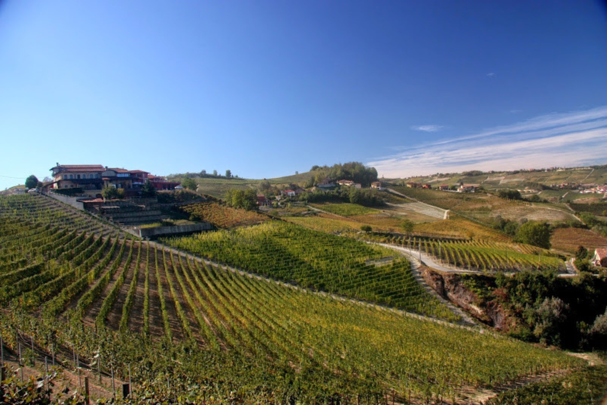 Maculan Vineyards
