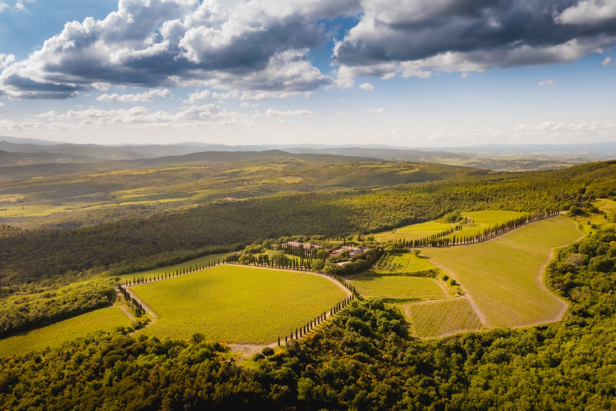 Maculan Vineyards